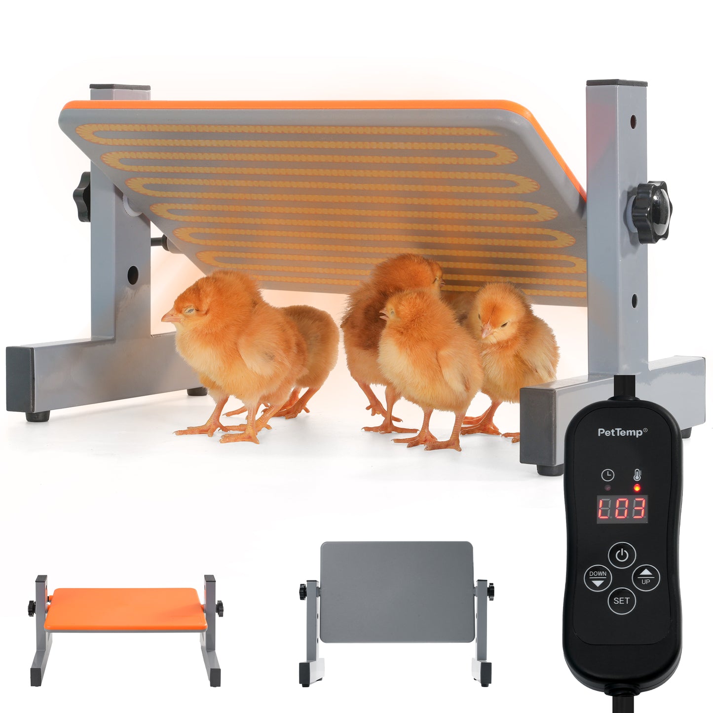 PetTemp Smart Chick Brooder Heater