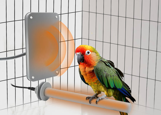 PetTemp Heated Bird Comfort Set