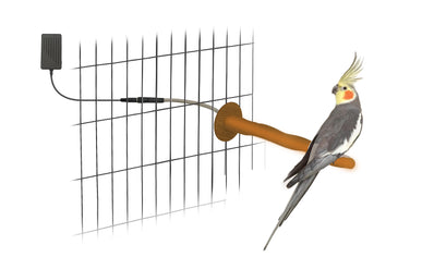 PetTemp Bird Heating Perch