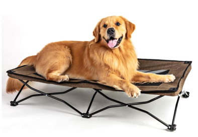PetTemp Pet Camping Cot