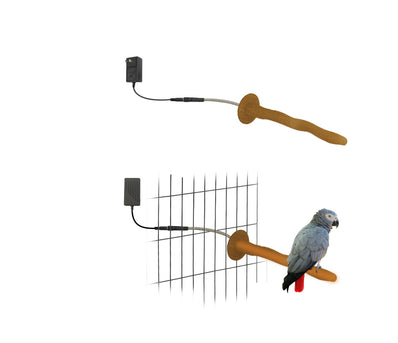 PetTemp Heated Bird Comfort Set