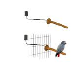 PetTemp Heated Bird Comfort Set
