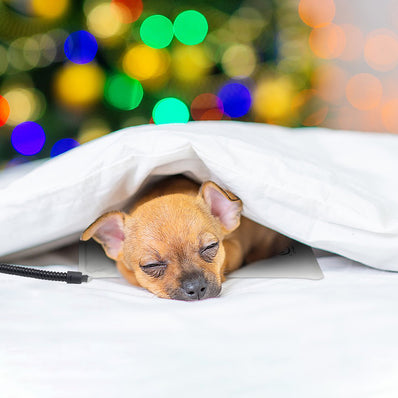 PetTemp Pet Bed Warmer for Cats & Dogs