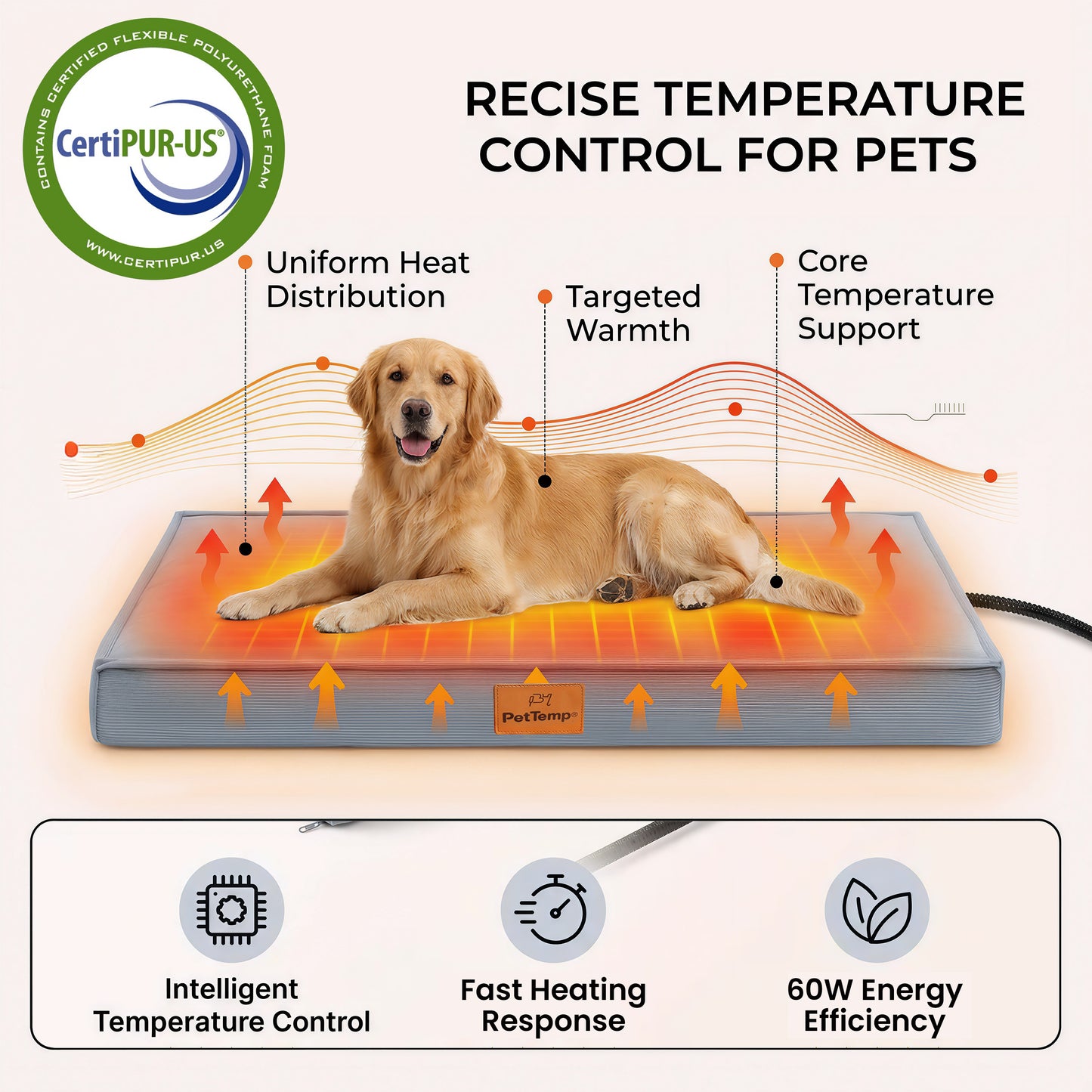 PetTemp Heated Orthopedic Pet Bed