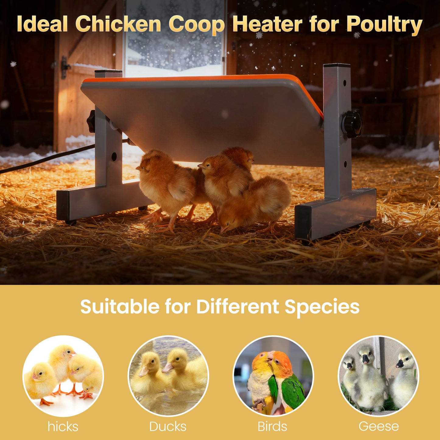 PetTemp Smart Chick Brooder Heater
