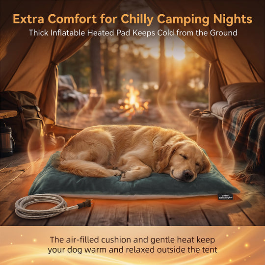 Pettemp Large size Inflatable Heated Dog & Cat Bed