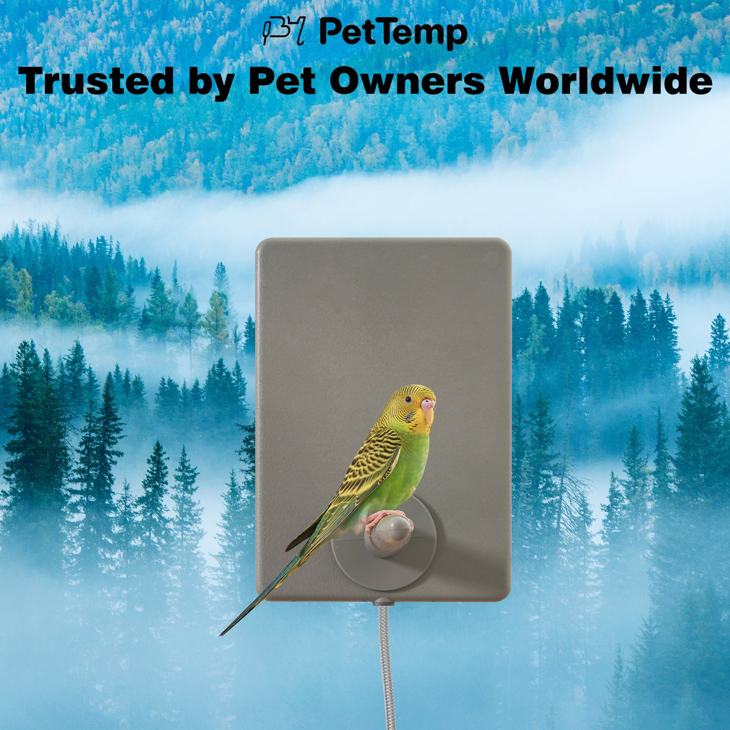 PetTemp Bird Heated Perch & Snuggle Panel Set