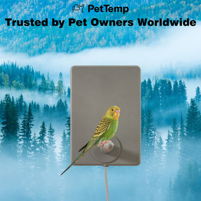 Pettemp Bird Heated Perch & Snuggle Panel Set
