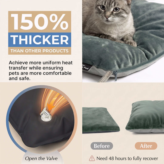 Pettemp Large size Inflatable Heated Dog & Cat Bed